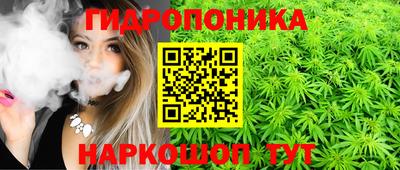 мяу мяу мука Краснодар