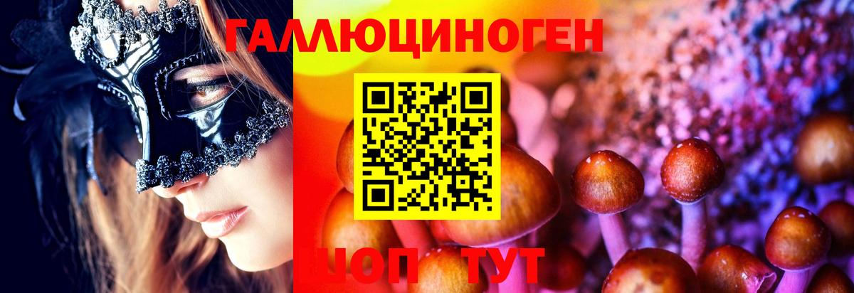 Феодосия  Псилоцибиновые грибы GOLDEN TEACHER  Вход с VPN 